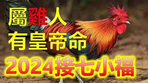 屬雞性格|屬雞出生年份/幾多歲？屬雞性格特徵+生肖配對+2024。